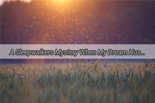 A Sleepwalkers Mystery When My Dream Husband Vanishes from the Bedroom Edge